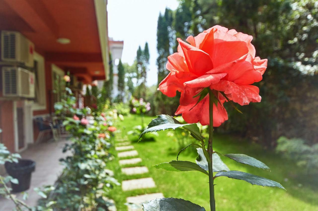 Leonardo Hotel Skopje Ngoại thất bức ảnh